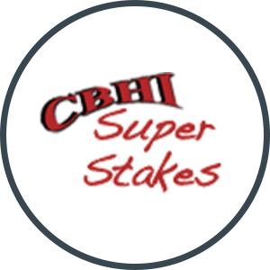 CBHI-SS