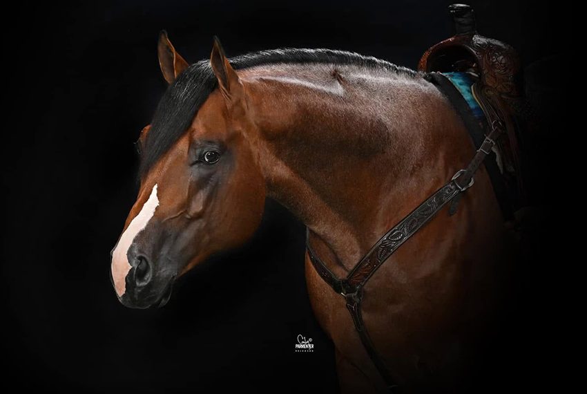 stud-CowpuncherCadillac