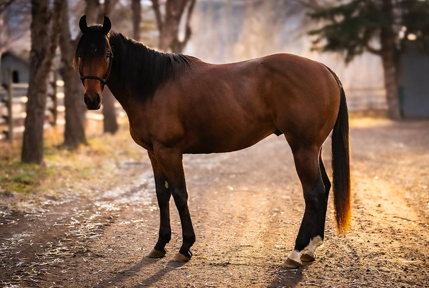 stud-EpicTalent